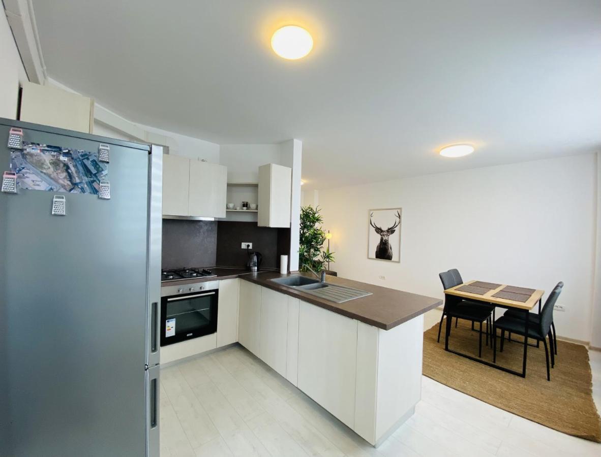 Charming Flat In Brasov With Balcony Panoramic View 아파트 외부 사진